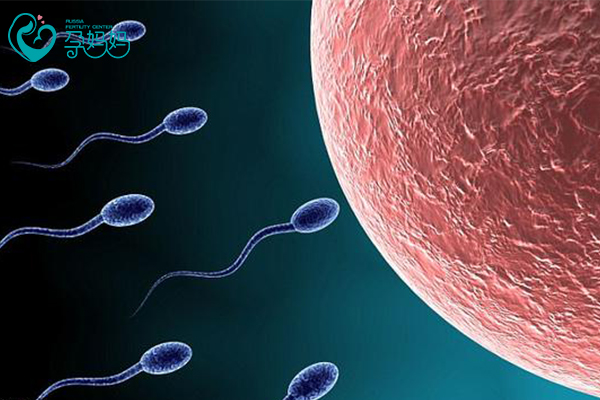 男性精液或精子出现问题， 通过试管婴儿可以解决吗？