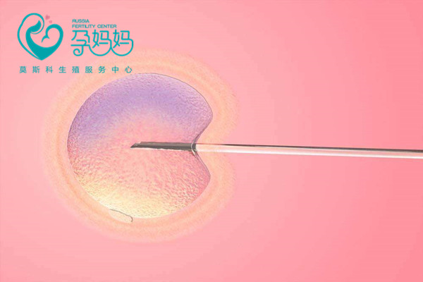 试管婴儿胚胎移植后几天会着床？