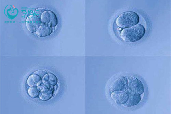 试管婴儿囊胚等级怎么划分？