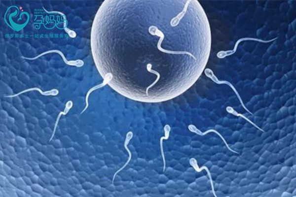 试管婴儿胚胎培养过程是怎样的？