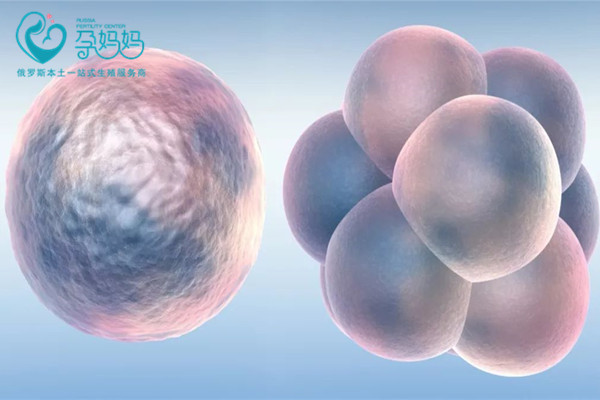试管婴儿囊胚移植需要满足什么条件？