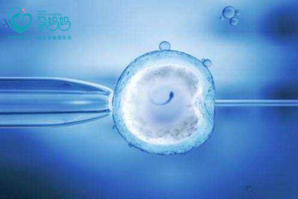 试管婴儿卵泡生长慢是什么原因？