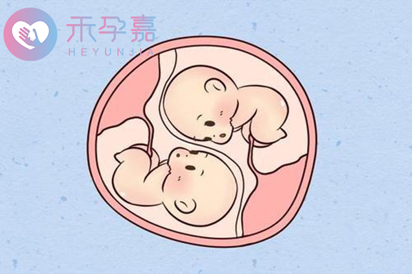 全球双胞胎出生率创新高!辅助生殖技术给生育带来更多可能
