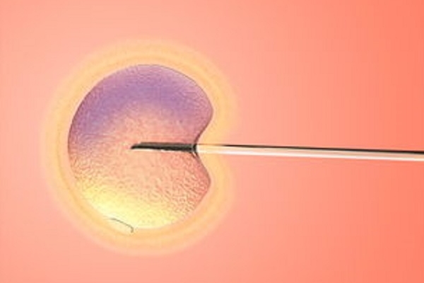 高龄腺肌症成功试管婴儿经验：优质胚胎助力好孕