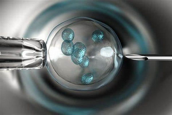 试管婴儿促排后不取卵：潜在风险与后果