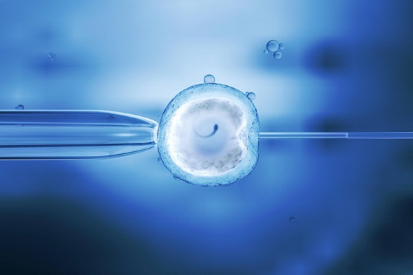 未成熟卵泡取出后能否培养并继续用于辅助生殖技术？