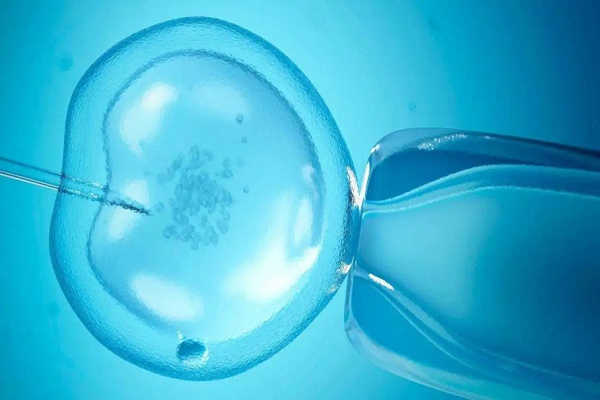 解析囊胚移植的条件：年龄超过35岁影响成功率