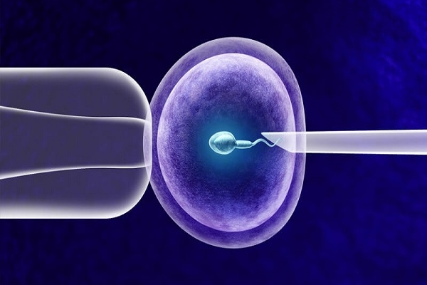 三代试管：单胚胎还是双胚胎更优？一文为您解答疑惑