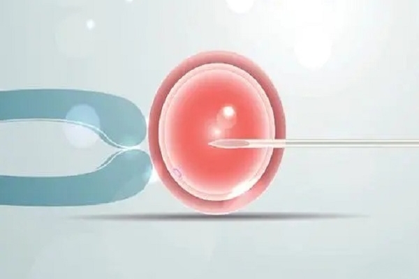 白细胞偏低对试管婴儿移植的影响
