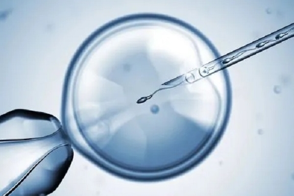 4bb级别囊胚移植后空囊：子宫环境不佳成主要诱因