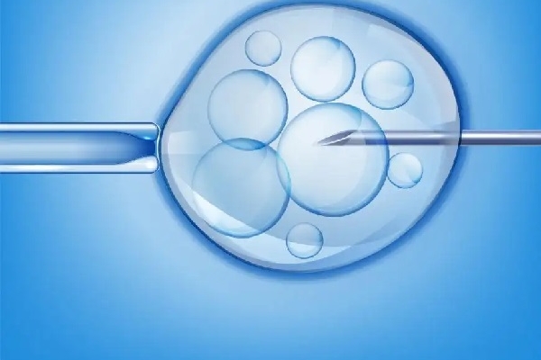 囊胚移植第十天出血：胚胎着床或成主要诱因