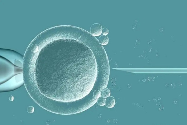 囊胚移植数日后未测出怀孕：可能原因及正常性分析