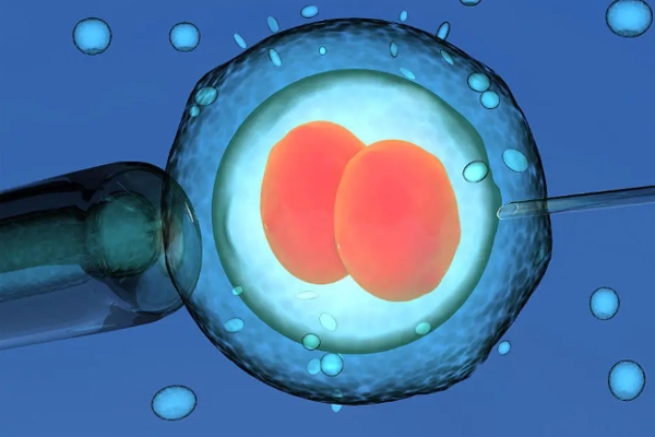 囊胚移植生化现象深度解析：胚胎染色体异常作为主因
