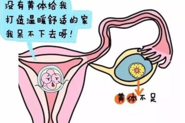 女性黄体酮不足：影响睡眠与生育能力