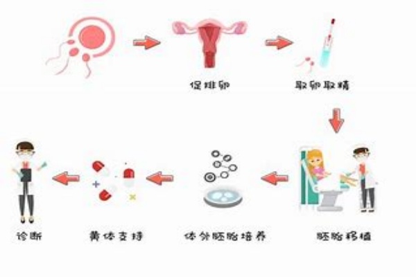 试管实验的步骤与注意事项