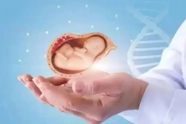试管婴儿胚胎质量不佳？三步助你“重塑胚胎品质”