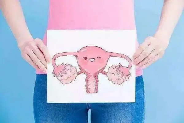 子宫内膜厚度如何决定胚胎扎根成败？