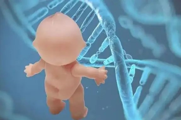 三代试管婴儿为何仍会面临失败？解析背后的复杂因素