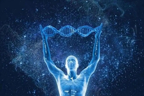 三代试管PGS筛查：囊胚淘汰率背后的科学逻辑