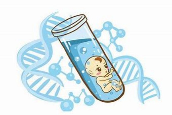 鲜胚移植全周期管理指南：从饮食禁忌到生活细节的科学建议