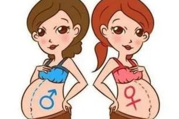 “要儿得儿，要女得女？”有人在“挑”，有人还没有选项！