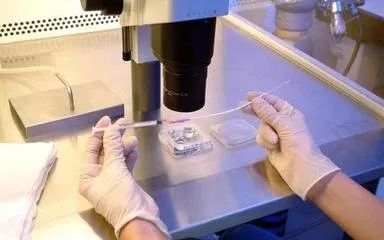 试管两次移植失败：继续前行还是就此止步？