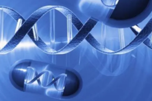 试管移植后科学养胎指南：5大黄金法则让胚胎着床率飙升