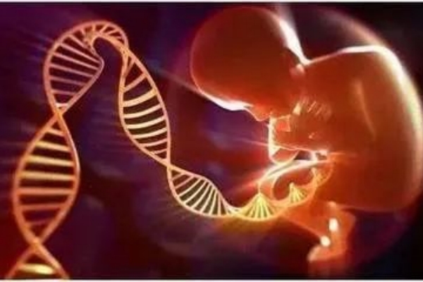 在格鲁吉亚与国内做试管婴儿有什么区别？
