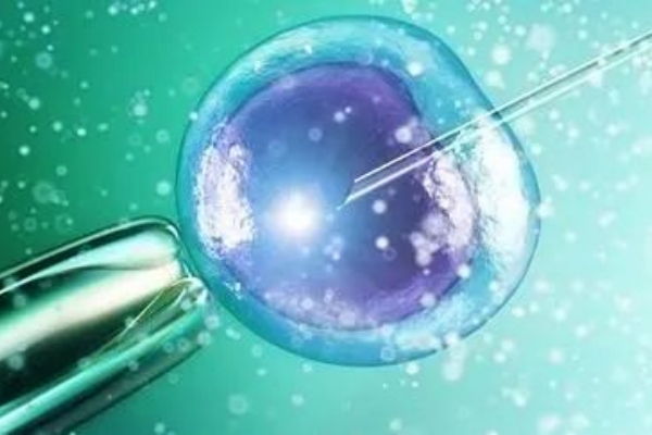 吉尔吉斯斯坦试管胚胎移植后的科学护理与注意事项