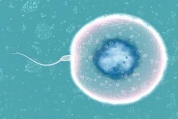 想去吉尔吉斯斯坦做试管婴儿-你的身体条件达标了吗？