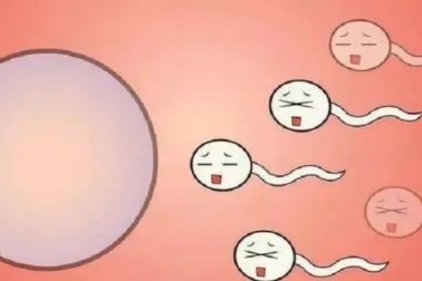 揭秘！高龄女性到吉尔吉斯斯坦试管“一次成功”的秘诀
