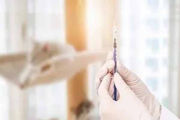 吉尔吉斯斯坦试管促排要住院吗？到底疼不疼？