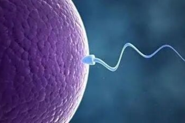 试管婴儿受精后胚胎为什么会停滞发育？