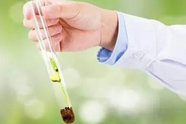 高龄夫妇哈萨克斯坦试管指南：科学规划让成功率翻倍！
