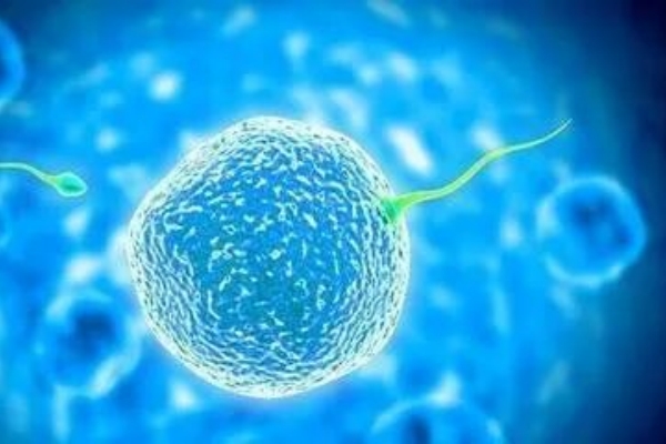 吉尔吉斯斯坦做试管婴儿，取卵日男方“掉链子”取精难，咋破局？