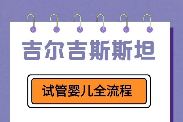 吉尔吉斯斯坦试管全攻略｜教你轻松接娃👶