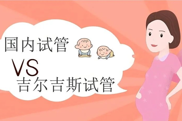 跨越国界的生命选择：吉尔吉斯斯坦试管还是国内试管？