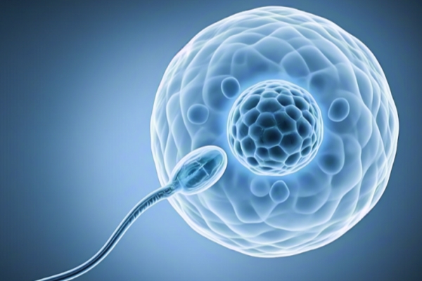 去吉尔吉斯斯坦做试管,对精子和卵子有什么要求? 去吉尔吉斯斯坦做试管,对精子和卵子有什么要求?