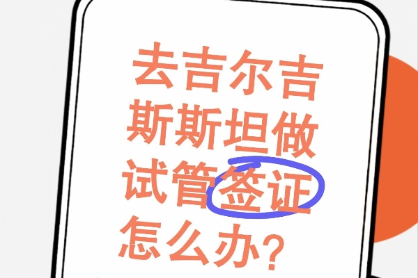 电子签or旅游签？吉尔吉斯试管签证攻略来了！