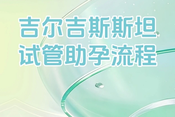 吉尔吉斯斯坦试管助孕流程攻略，干货满满！