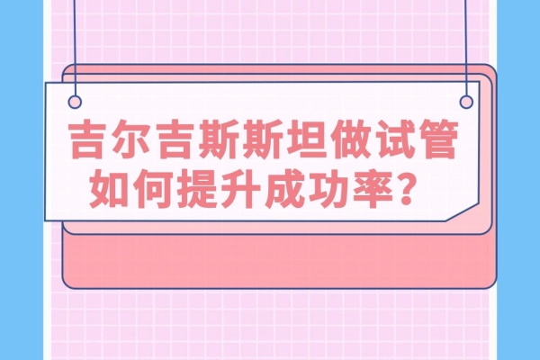 提升吉尔吉斯斯坦试管成功率的三大方法