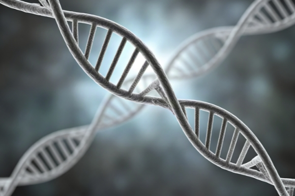 2026 辅助生殖优选:吉尔吉斯斯坦的助孕优势与专业之道 2026 辅助生殖优选:吉尔吉斯斯坦的助孕优势与专业之道