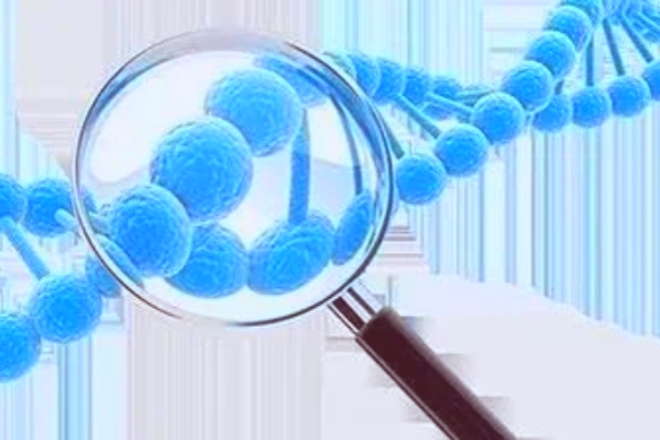 吉尔吉斯斯坦试管助孕成功率-关键要素全解析