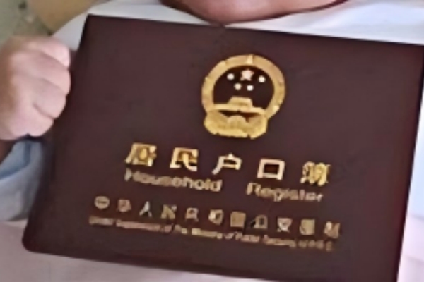 格鲁吉亚出生的试管宝宝，如何回国上户口？