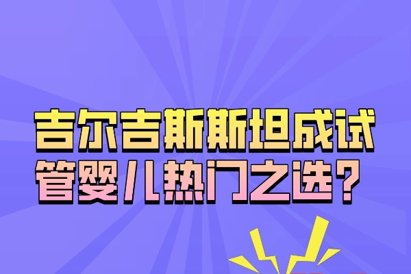 吉尔吉斯斯坦：中亚“试管黑马”，圆梦新选择🌈