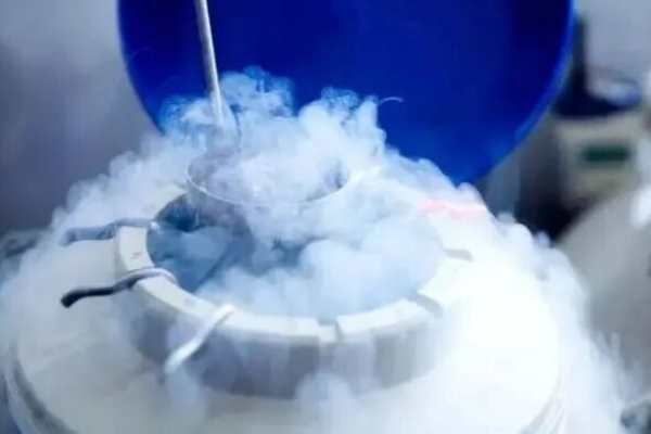 详解美国试管婴儿胚胎复苏率：影响因素与提升策略