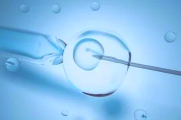 试管生育怕踩坑?吉尔吉斯坦生殖中心提供专业指南 试管生育怕踩坑?吉尔吉斯坦生殖中心提供专业指南