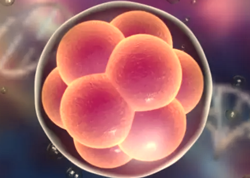 吉尔吉斯斯坦三代试管：高成功率背后有哪些“神操作”？