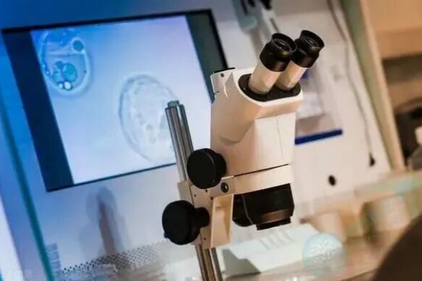 关于吉尔吉斯斯坦试管助孕,这些问题和准备你都知道吗? 关于吉尔吉斯斯坦试管助孕,这些问题和准备你都知道吗?