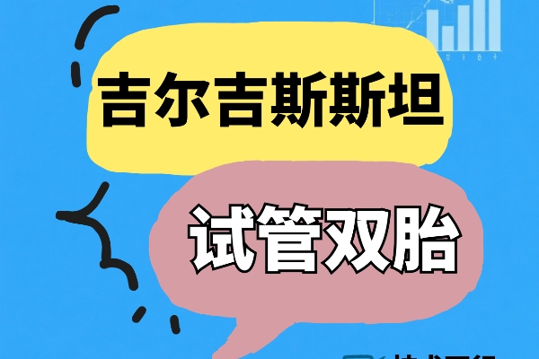 吉尔吉斯斯坦试管婴儿能否实现双胎梦? 吉尔吉斯斯坦试管婴儿能否实现双胎梦?